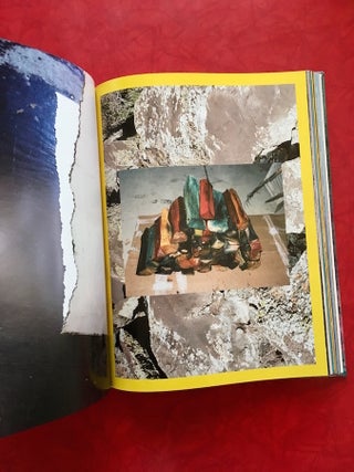 Sam Falls: Life Size, Signed Special Edition; No. 23 of 25