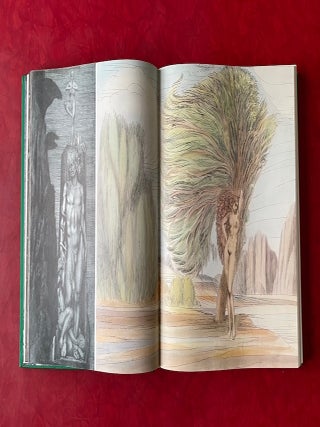 Ernst Fuchs: Das Graphische Werk (the Graphic Work), 1967-1980