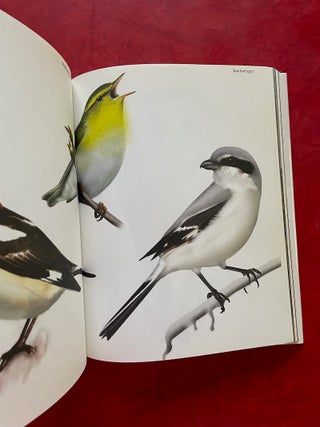 Luca Schenardi: An Vogelh&auml;usern Mangelt es Jedoch Nicht (However, There is No Shortage of Birdhouses)