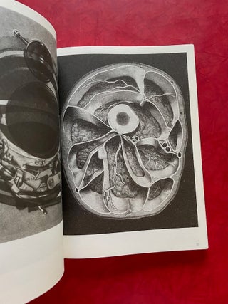 Batia Suter: Radial Grammar