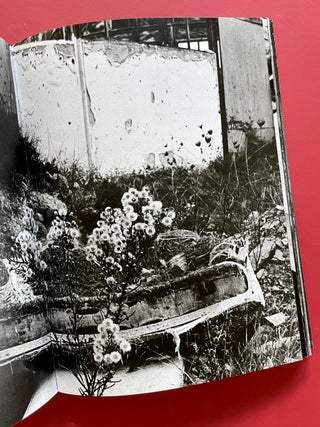 Letizia Battaglia: Anthology