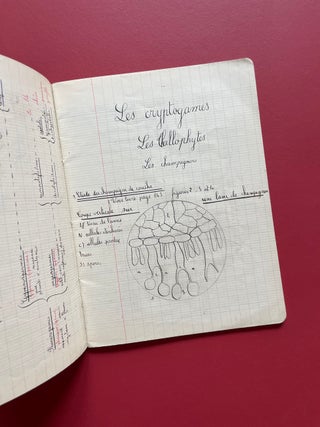French Botanical Journal with Original Drawings and Two Lichen Specimens (Circa 1950)
