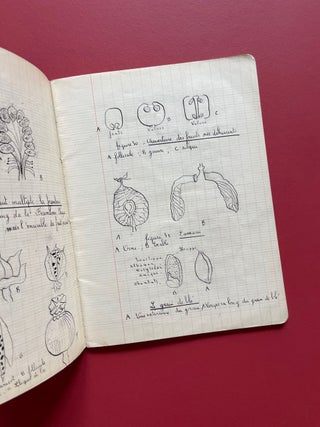 French Botanical Journal with Original Drawings and Two Lichen Specimens (Circa 1950)
