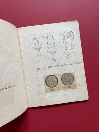 French Botanical Journal with Original Drawings and Two Lichen Specimens (Circa 1950)