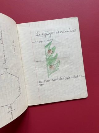French Botanical Journal with Original Drawings and Two Lichen Specimens (Circa 1950)