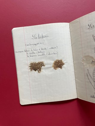 French Botanical Journal with Original Drawings and Two Lichen Specimens (Circa 1950)