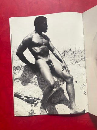 The Best of 'Bruce' (A Strictly Limited Edition)