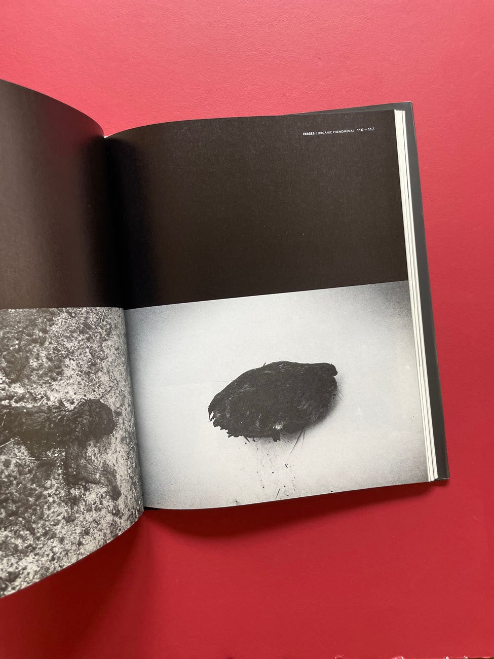 Monograph Bookwerks | David Lynch: Images | David Lynch