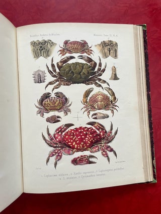 New Archives of the Natural History Museum of Paris, Vol. 9 (1873