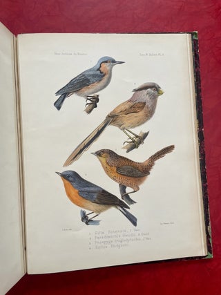New Archives of the Natural History Museum of Paris, Vol. 9 (1873)