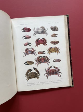 New Archives of the Natural History Museum of Paris, Vol. 9 (1873)
