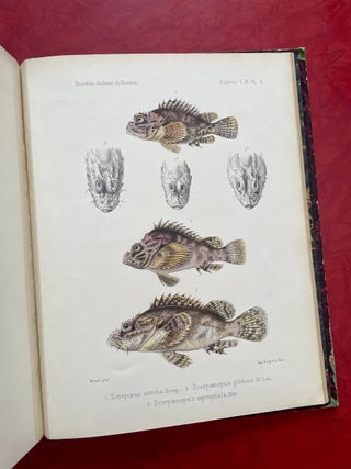 New Archives of the Natural History Museum of Paris, Vol. 9 (1873)