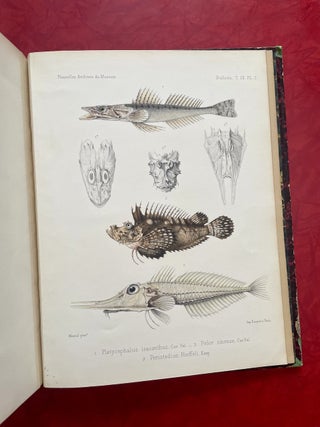 New Archives of the Natural History Museum of Paris, Vol. 9 (1873)