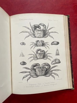 New Archives of the Natural History Museum of Paris, Vol. 9 (1873)