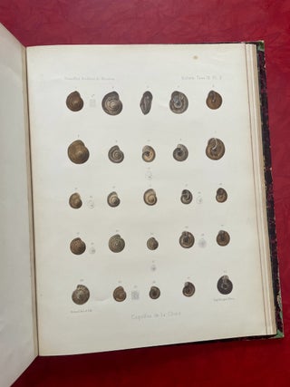 New Archives of the Natural History Museum of Paris, Vol. 9 (1873)