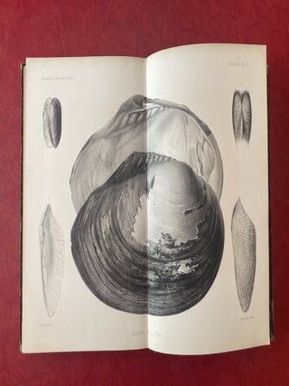 New Archives of the Natural History Museum of Paris, Vol. 9 (1873)