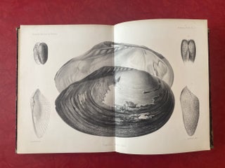 New Archives of the Natural History Museum of Paris, Vol. 9 (1873)
