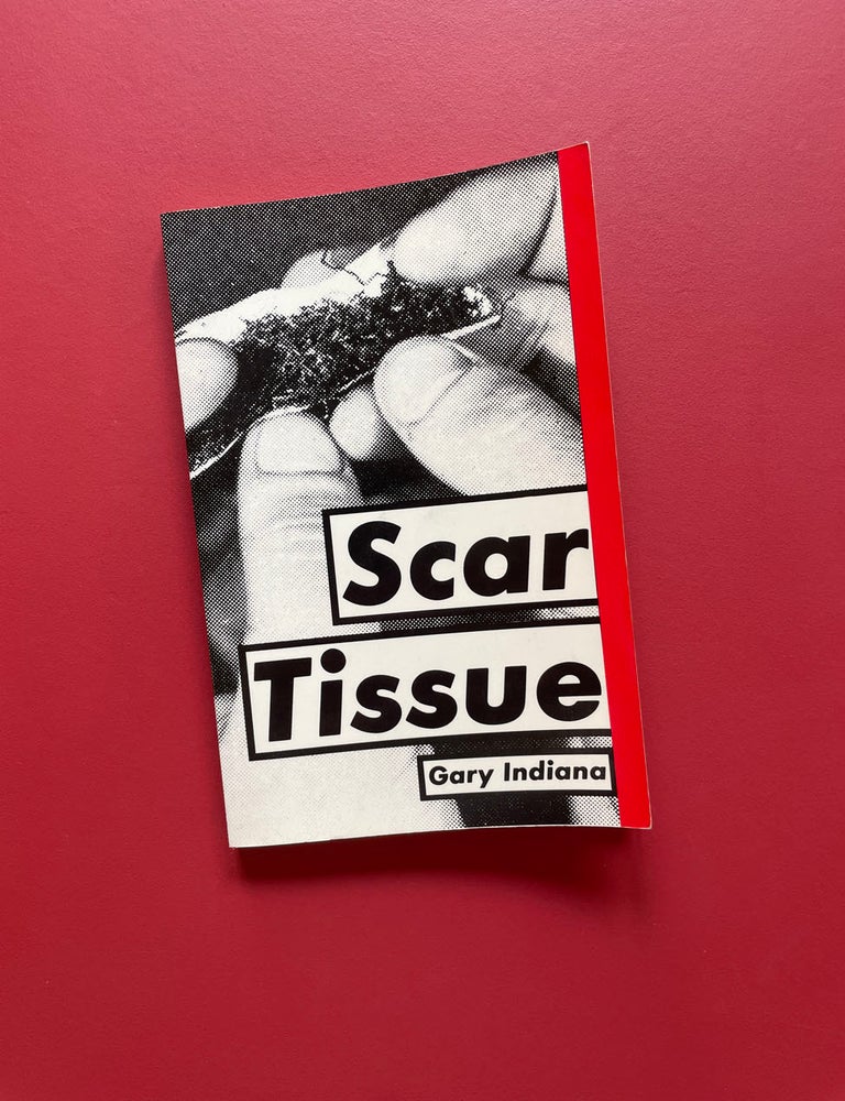 Item #2192 Scar Tissue and Other Stories. Gary Indiana.