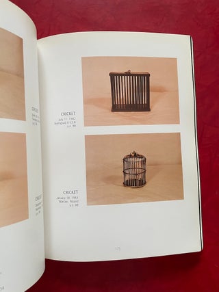 Yoko Ono: Wish Trees for Brasil (Arvores Do Deserto Para O Brasil)