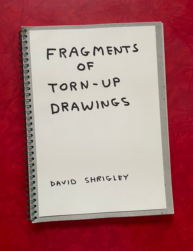 Item #2213 David Shrigley: Fragments of Torn-Up Drawings. David Shrigley.