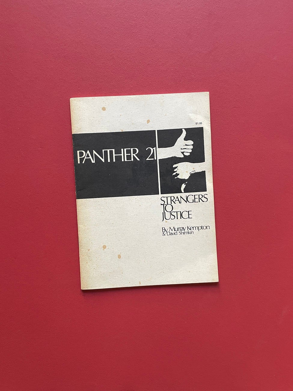 Monograph Bookwerks | Panthers 21: Strangers to Justice | Murray