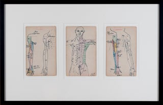 Item #411 Set of 3 Medical Drawings [torso front]. Siegfried Berthelsdorf