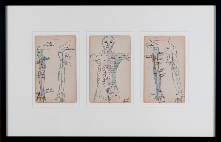 Item #411 Set of 3 Medical Drawings [torso front]. Siegfried Berthelsdorf.