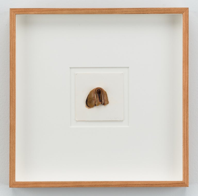 Item #973 Hannah Wilke Single Gum Sculpture, 1977. Hannah Wilke.